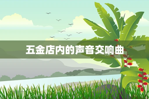 五金店内的声音交响曲