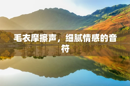 毛衣摩擦声，细腻情感的音符