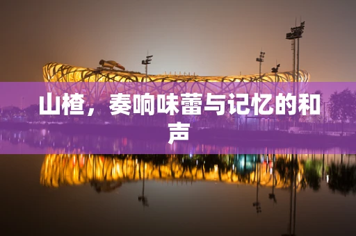 山楂，奏响味蕾与记忆的和声