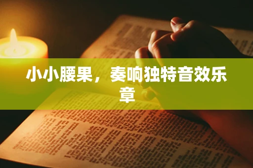 小小腰果，奏响独特音效乐章