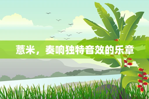 薏米，奏响独特音效的乐章