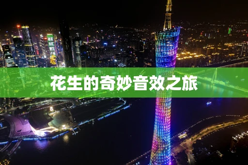 花生的奇妙音效之旅