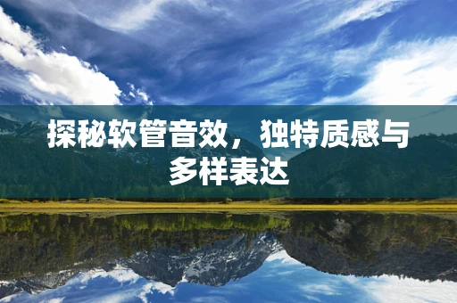 探秘软管音效，独特质感与多样表达