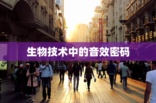 生物技术中的音效密码
