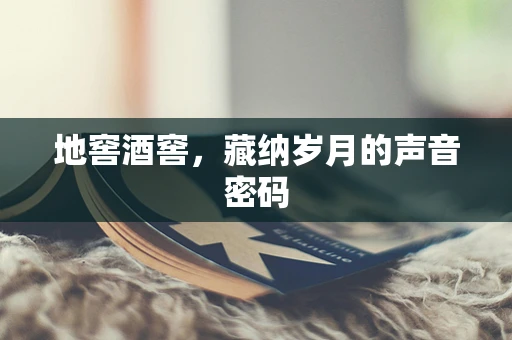地窖酒窖，藏纳岁月的声音密码