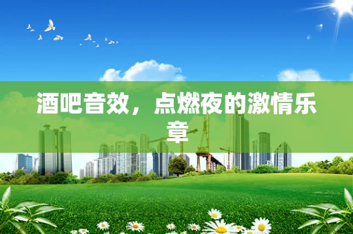 酒吧音效，点燃夜的激情乐章