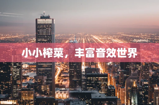 小小榨菜，丰富音效世界