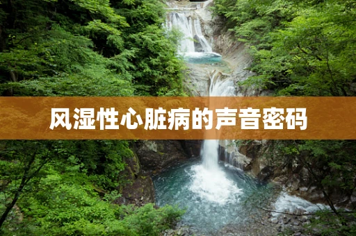 风湿性心脏病的声音密码