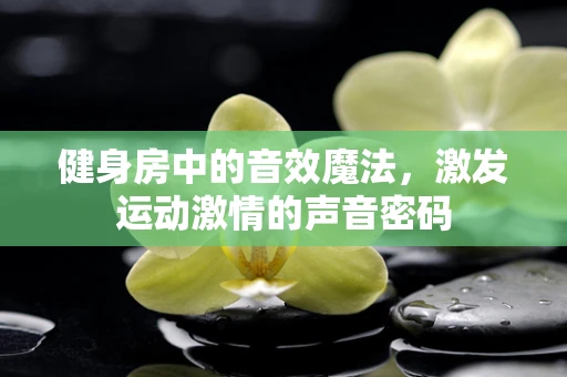 健身房中的音效魔法，激发运动激情的声音密码
