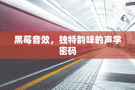 黑莓音效，独特韵味的声学密码