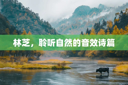 林芝，聆听自然的音效诗篇
