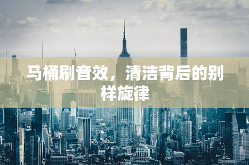 马桶刷音效，清洁背后的别样旋律