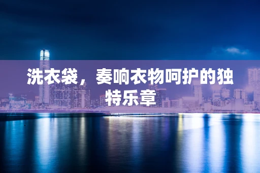 洗衣袋，奏响衣物呵护的独特乐章