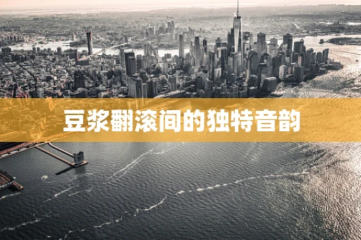 豆浆翻滚间的独特音韵