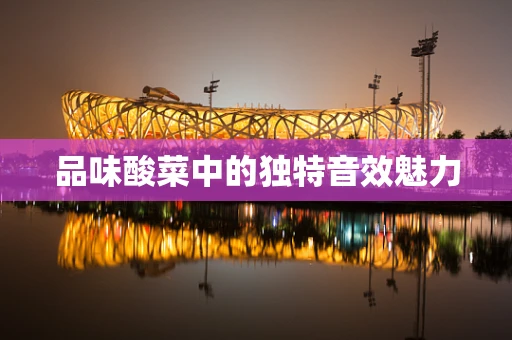品味酸菜中的独特音效魅力