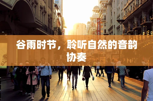 谷雨时节，聆听自然的音韵协奏