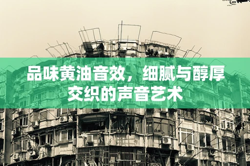 品味黄油音效，细腻与醇厚交织的声音艺术