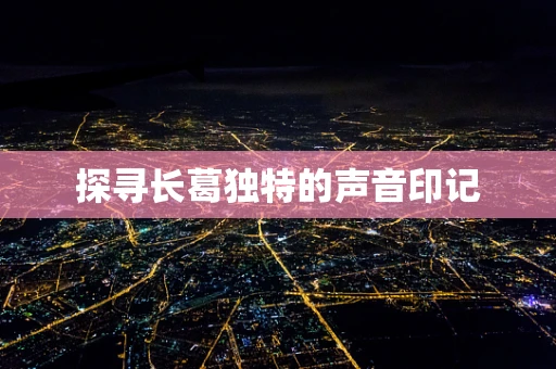 探寻长葛独特的声音印记