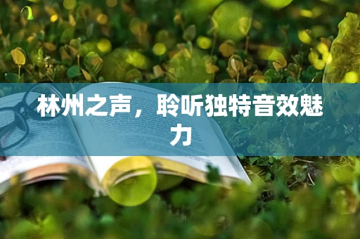 林州之声，聆听独特音效魅力