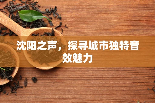 沈阳之声，探寻城市独特音效魅力