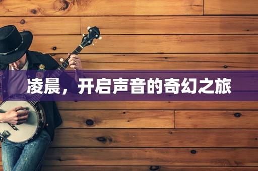 凌晨，开启声音的奇幻之旅