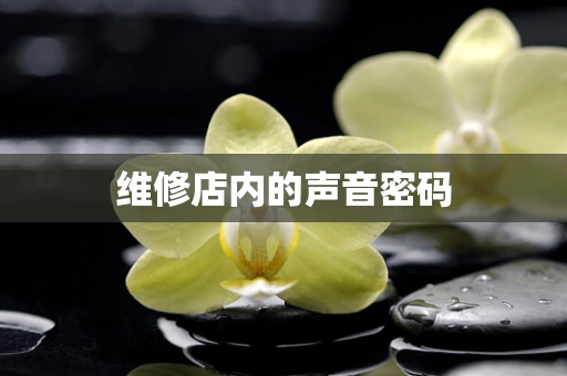 维修店内的声音密码