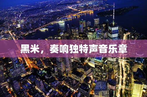 黑米，奏响独特声音乐章