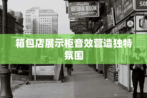 箱包店展示柜音效营造独特氛围