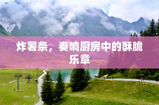 炸薯条，奏响厨房中的酥脆乐章