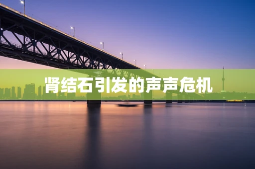 肾结石引发的声声危机
