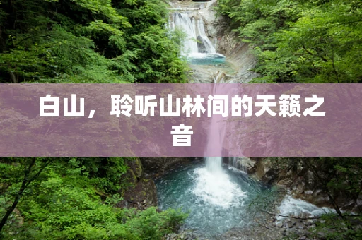 白山，聆听山林间的天籁之音