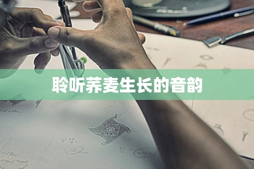 聆听荞麦生长的音韵