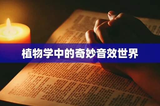 植物学中的奇妙音效世界