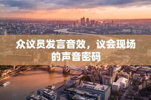 众议员发言音效，议会现场的声音密码