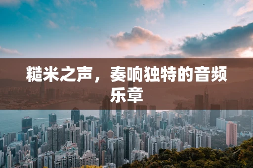 糙米之声，奏响独特的音频乐章