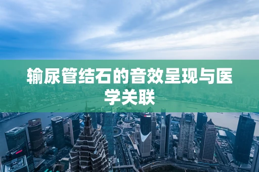 输尿管结石的音效呈现与医学关联
