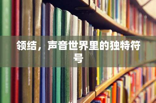 领结，声音世界里的独特符号