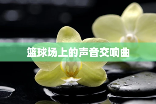 篮球场上的声音交响曲