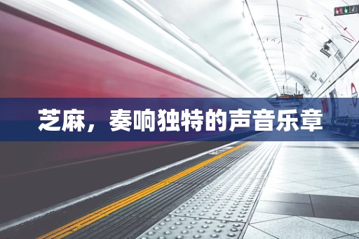 芝麻，奏响独特的声音乐章