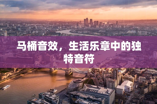 马桶音效，生活乐章中的独特音符