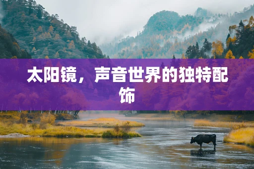 太阳镜，声音世界的独特配饰