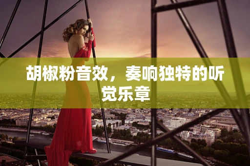 胡椒粉音效，奏响独特的听觉乐章