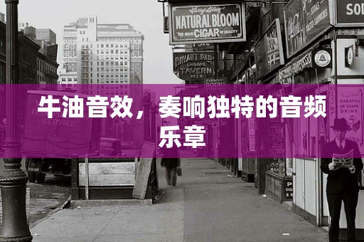 牛油音效，奏响独特的音频乐章