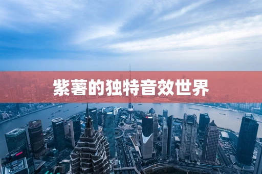 紫薯的独特音效世界