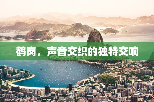 鹤岗，声音交织的独特交响