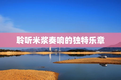 聆听米浆奏响的独特乐章