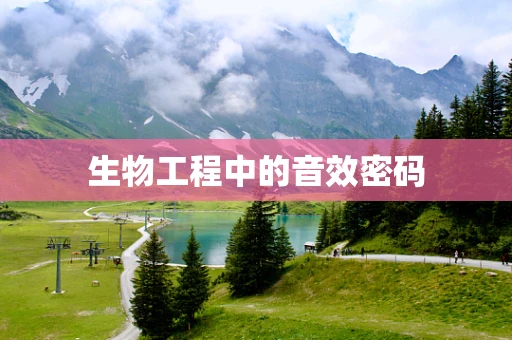 生物工程中的音效密码