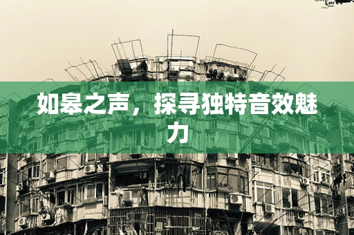 如皋之声，探寻独特音效魅力