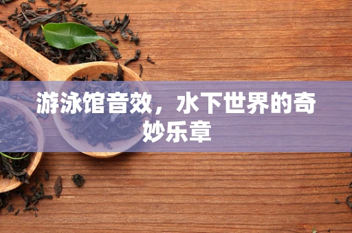 游泳馆音效，水下世界的奇妙乐章