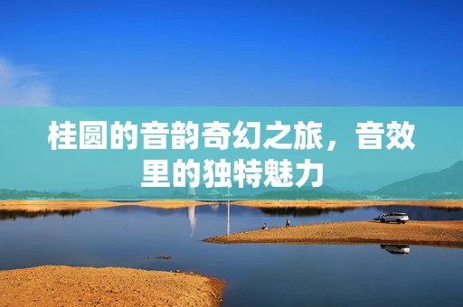 桂圆的音韵奇幻之旅，音效里的独特魅力